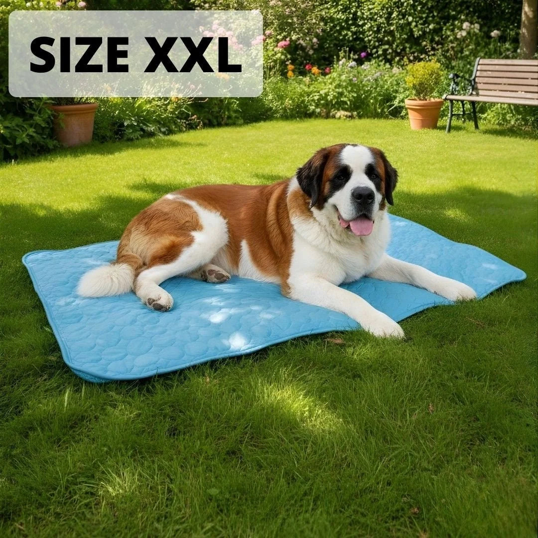 Alfombrilla refrescante para perros Arctic™