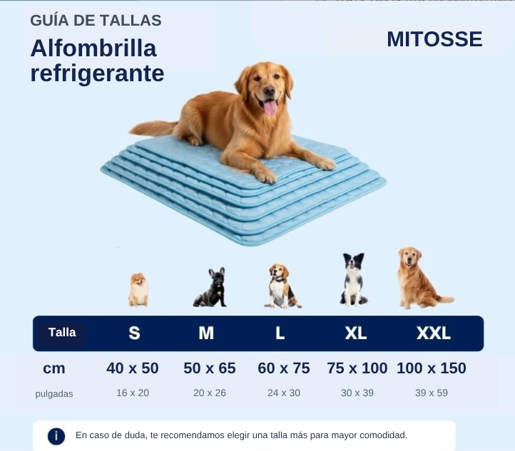 Guía de tallas