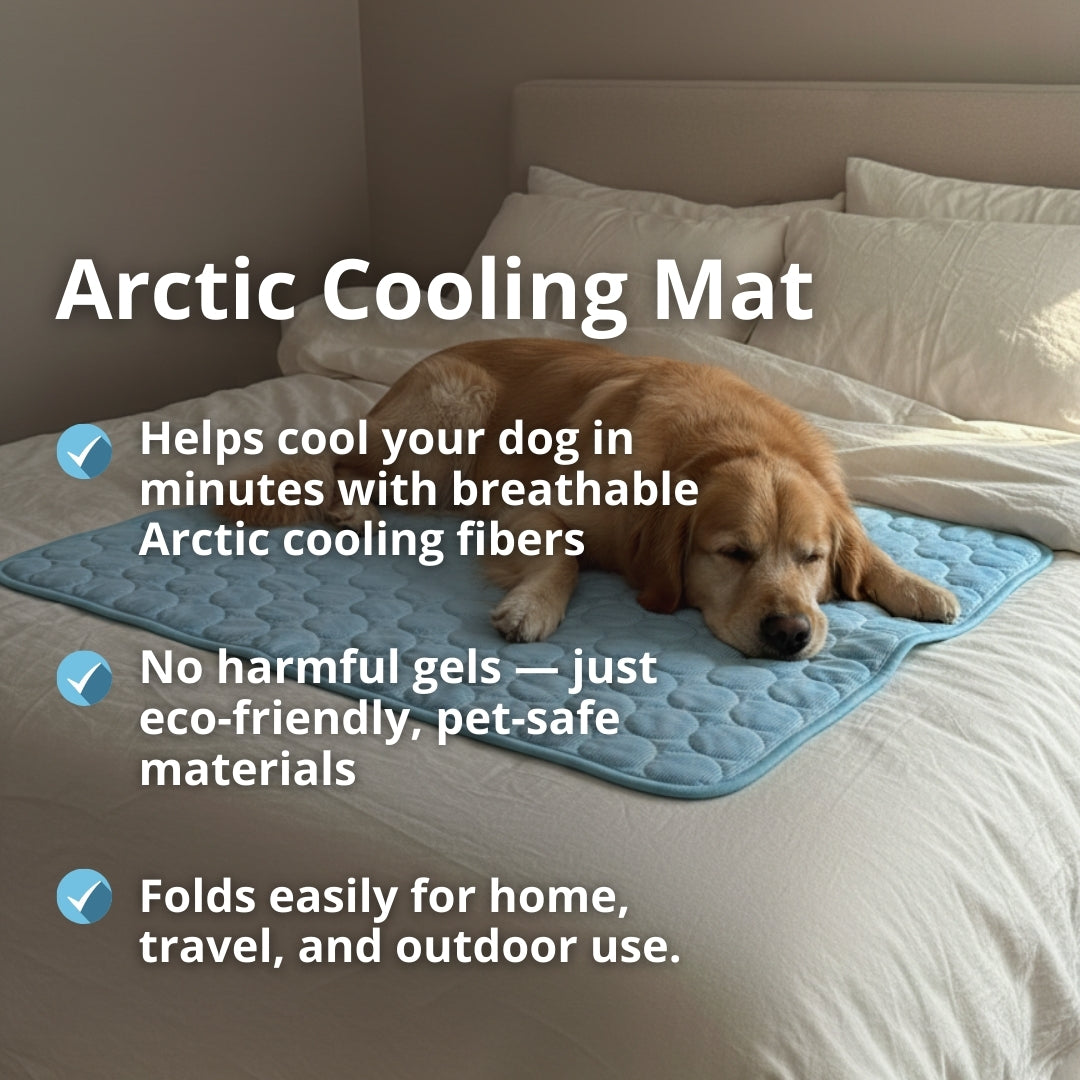 Alfombrilla refrescante para perros Arctic™
